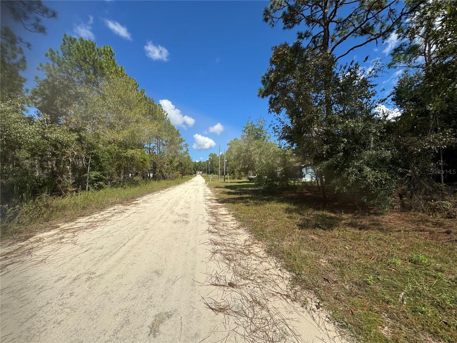 Property Photo: Lot 21 SW 157th Court FL 34481