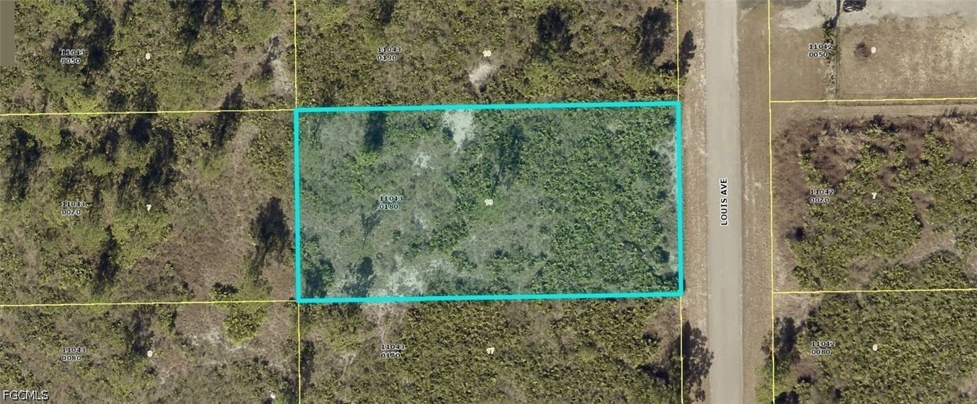 Property Photo:  311 Louis Avenue  FL 33936 