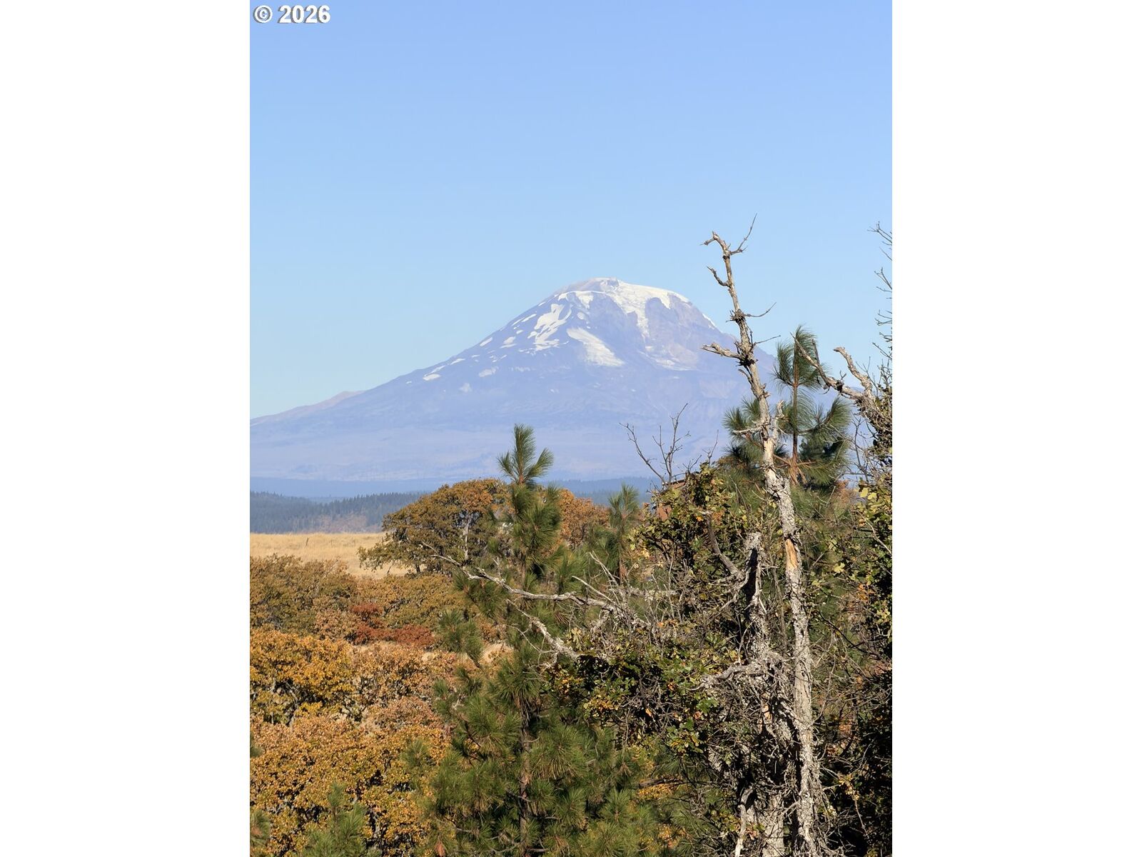 Property Photo:  0 Hwy 142  WA 98628 