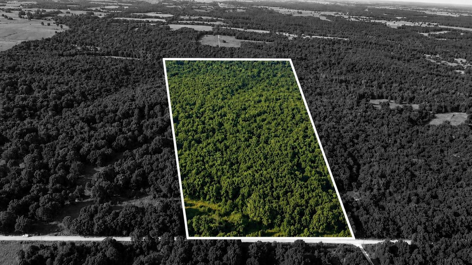 Property Photo:  19832 County Road 64  MO 65779 