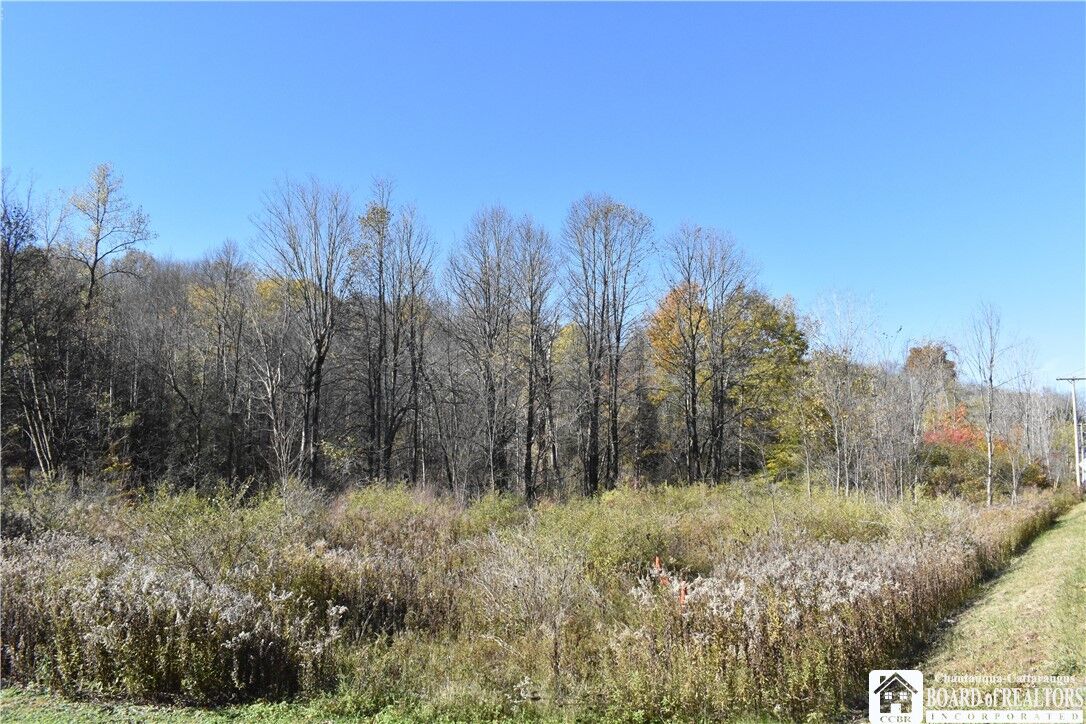 Property Photo:  11088 Springville Boston Road  NY 14055 