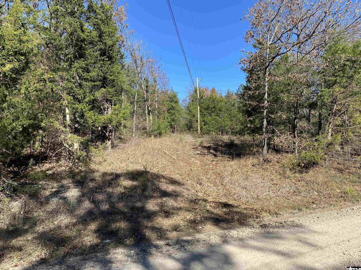 Property Photo: 00 Railroad Lane AR 72677