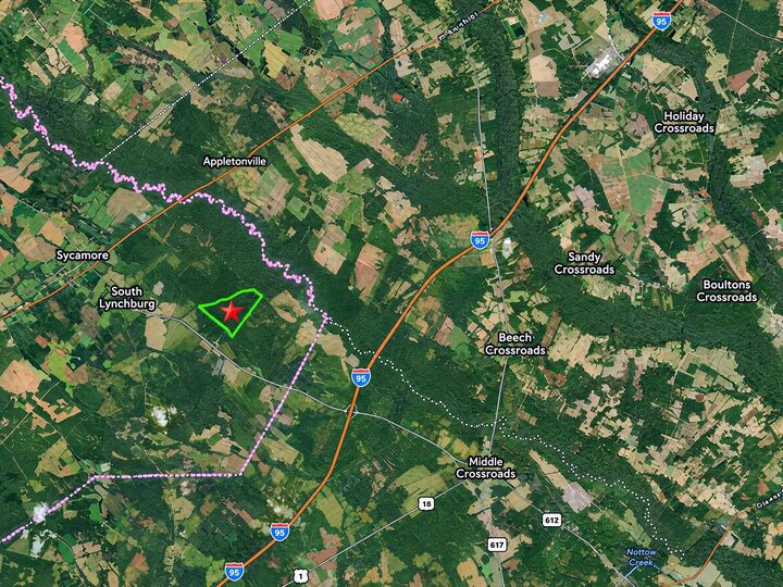 Property Photo: 228.79 Acres Back Swamp Rd SC 29161