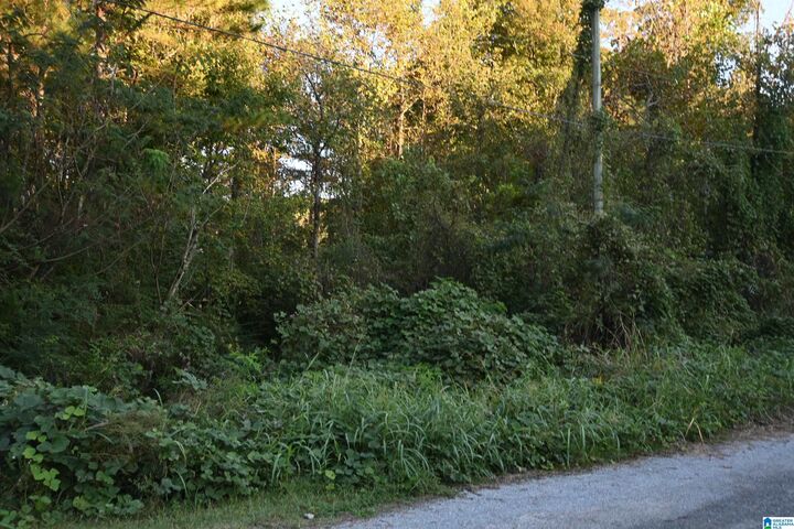 Property Photo: 0 Oakbrook Circle Lots 1 &Amp 2 Oakbrook Circle AL 35049