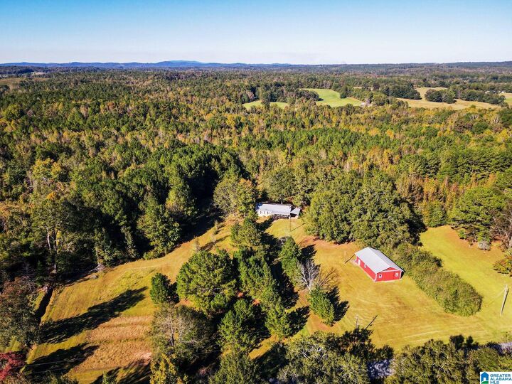 Property Photo:  1621 Big Springs Road  AL 36251 