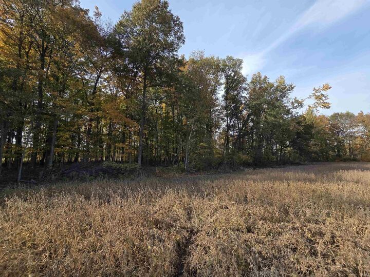 Property Photo:  0000 Lot 1 Cr 51 Road  IN 46721 