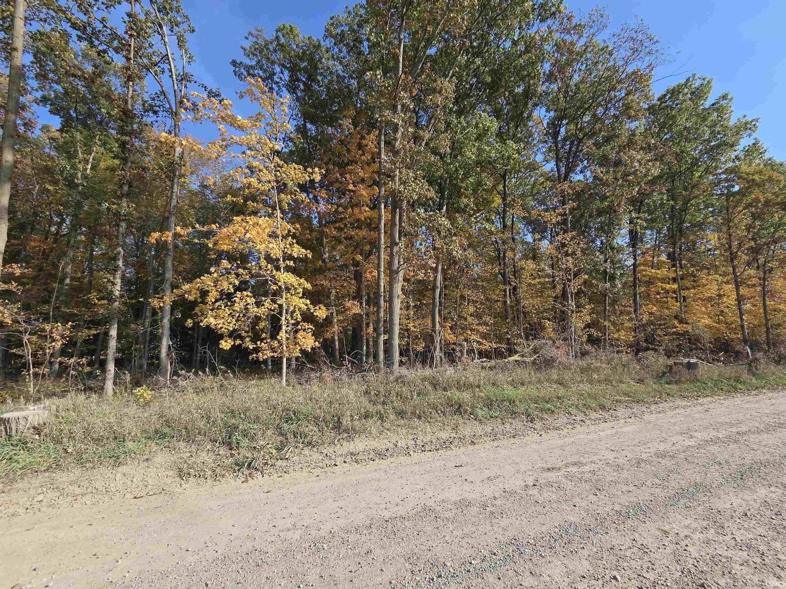 Property Photo: 0000 Lot 2 Cr 51 Road IN 46721