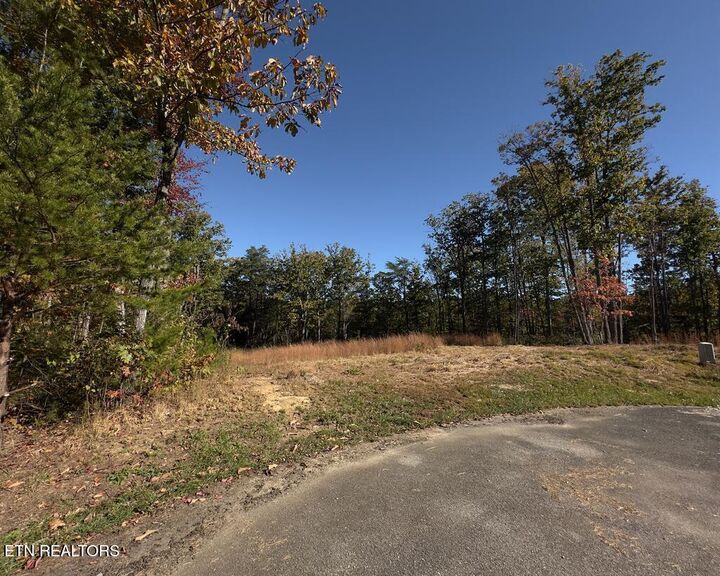 Property Photo: 117 Fox Run Court TN 38574