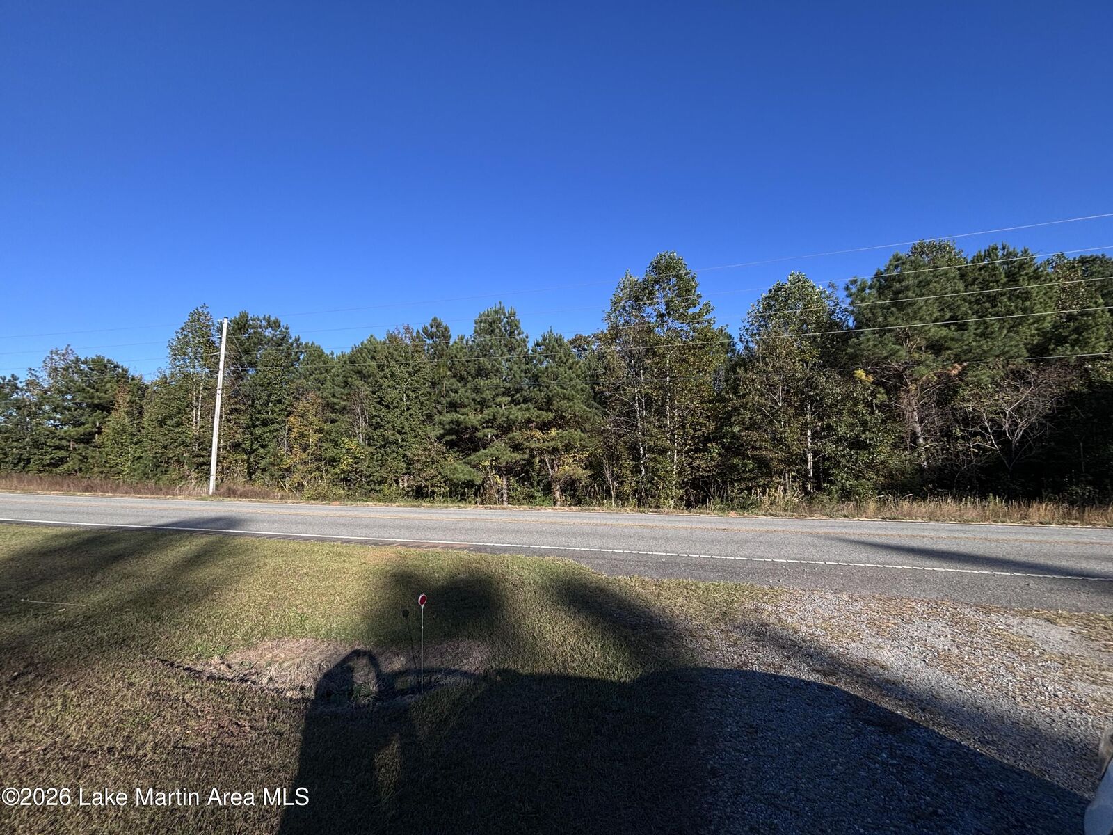 Property Photo: Goldville AL 36256
