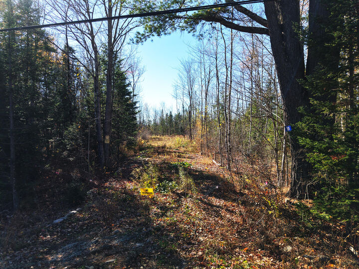 Property Photo:  301  Estabrook Road  ME 04471 