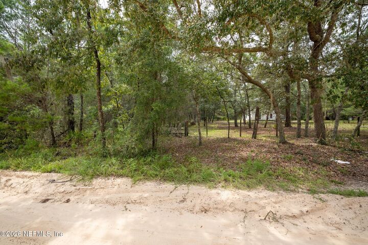Property Photo:  5501 Indian Trail  FL 32656 