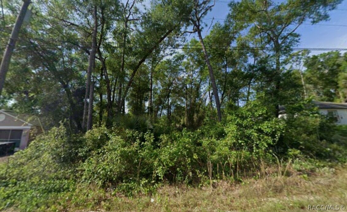 Property Photo:  6490 E Willow Street  FL 34452 