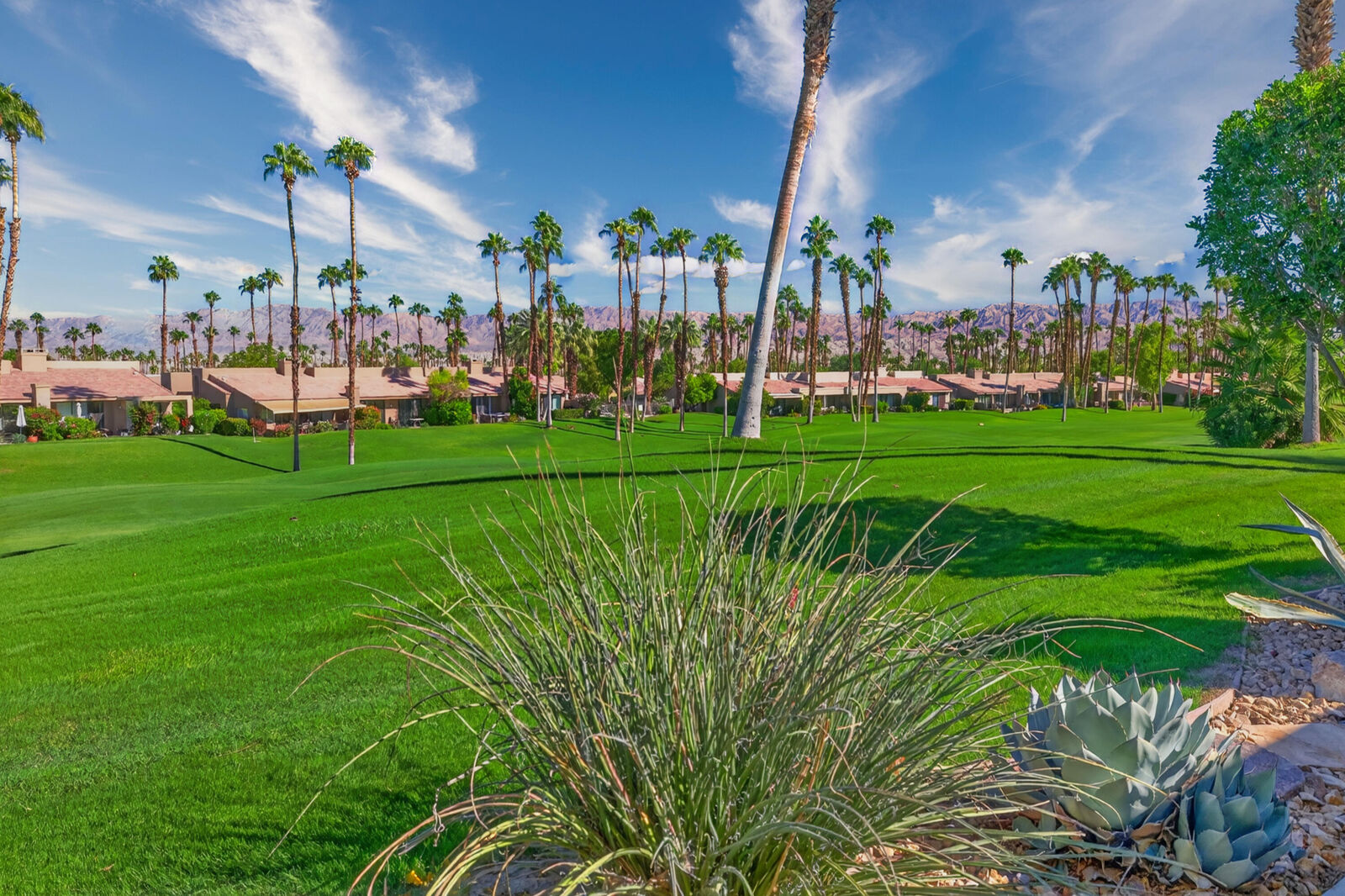 Property Photo:  76700 Chrysanthemum Way  CA 92211 