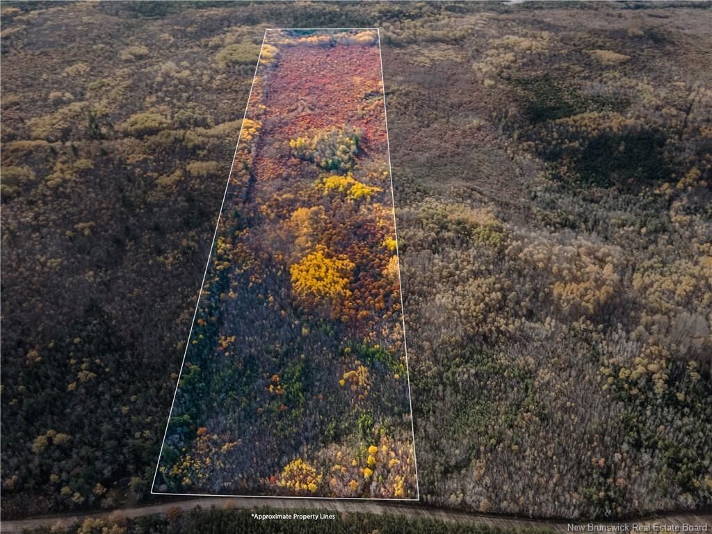 Property Photo:  Lot 1 South Canaan Road  NB E4Z 3R7 