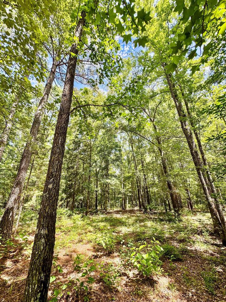 Property Photo:  0000 Cr 1131  TX 75563 