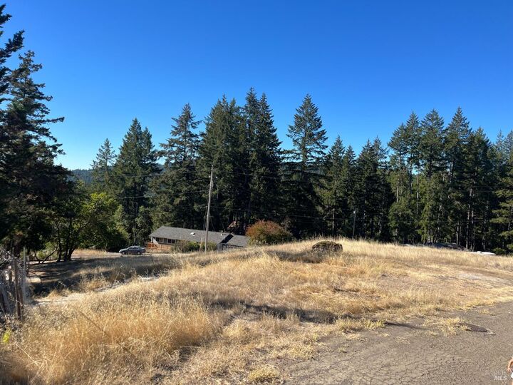 Property Photo: 2061 Peacock Drive CA 95490