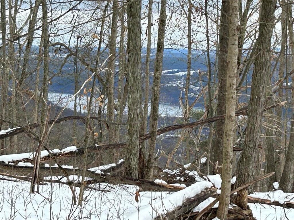 Property Photo: Hammondsport Road NY 14810