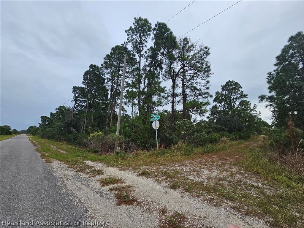 Property Photo:  1265 Kumquat Street  FL 33852 