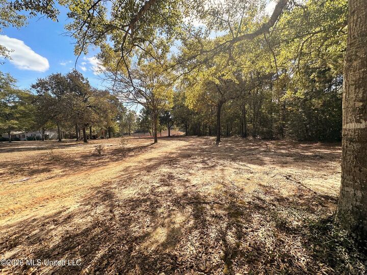 Property Photo: 8.75ac Mann Lane MS 39452