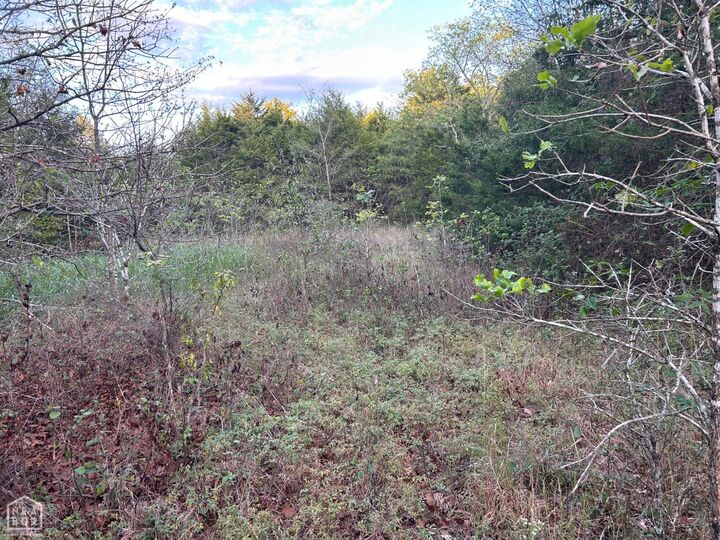 Property Photo: 63 N Highway AR 72434