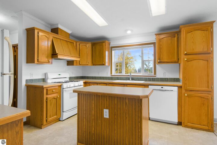Property Photo:  3767 Blair Valley Road  MI 49685 