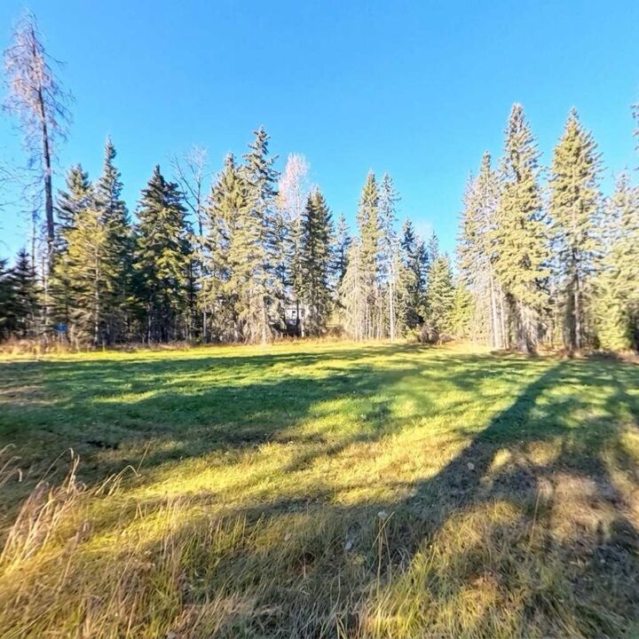 Property Photo:  131 Meadow Ponds Drive  AB T4T 2A2 
