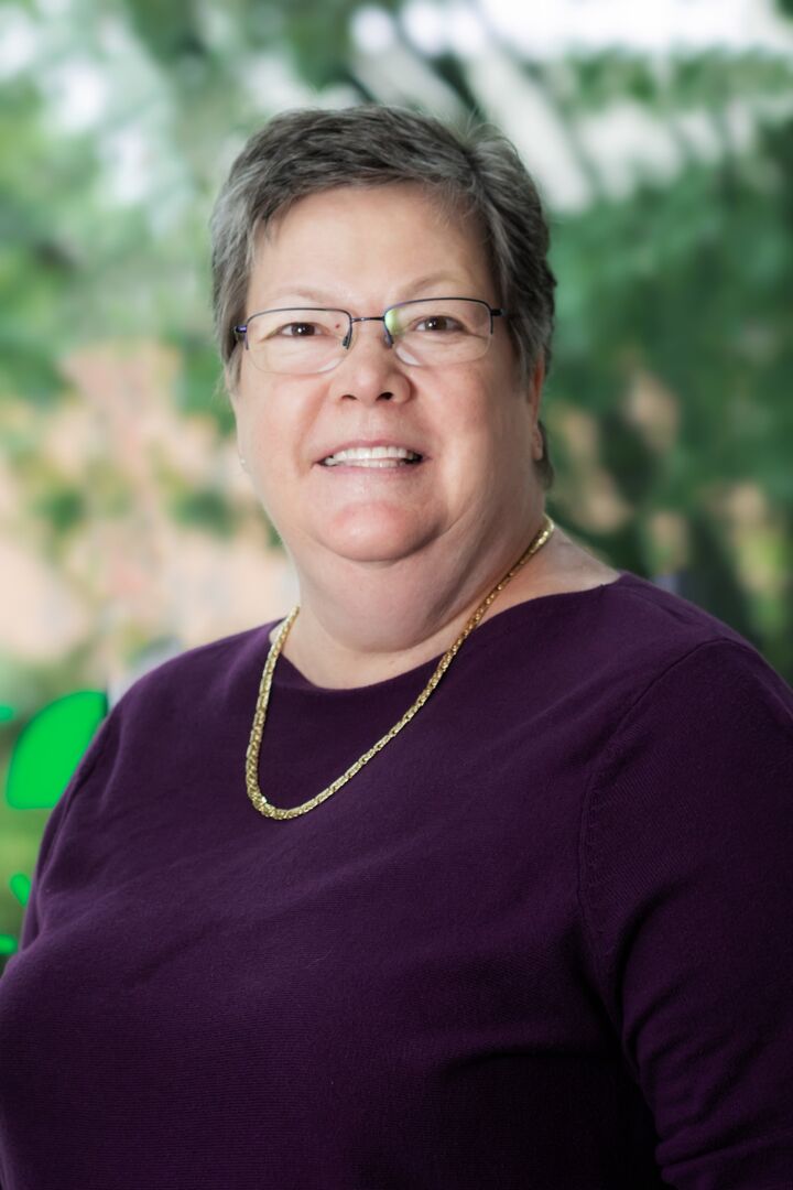 Anne Santarone, Real Estate Salesperson in Falls Church, Premier