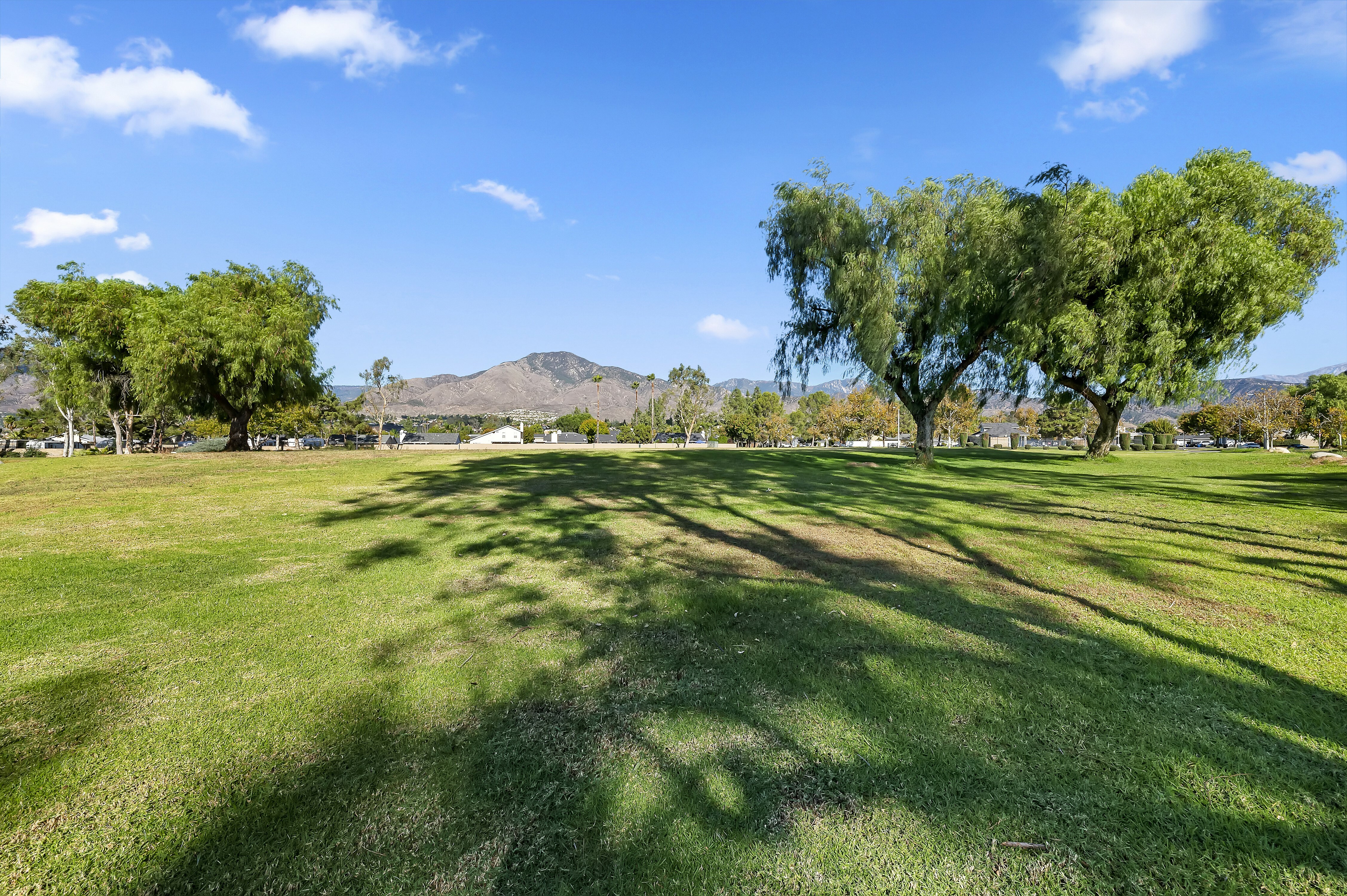 Property Photo:  28642 Concordia Circle  CA 92346 