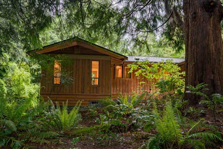 Property Photo:  11958 Olympic Terrace Ave NE  WA 98110 