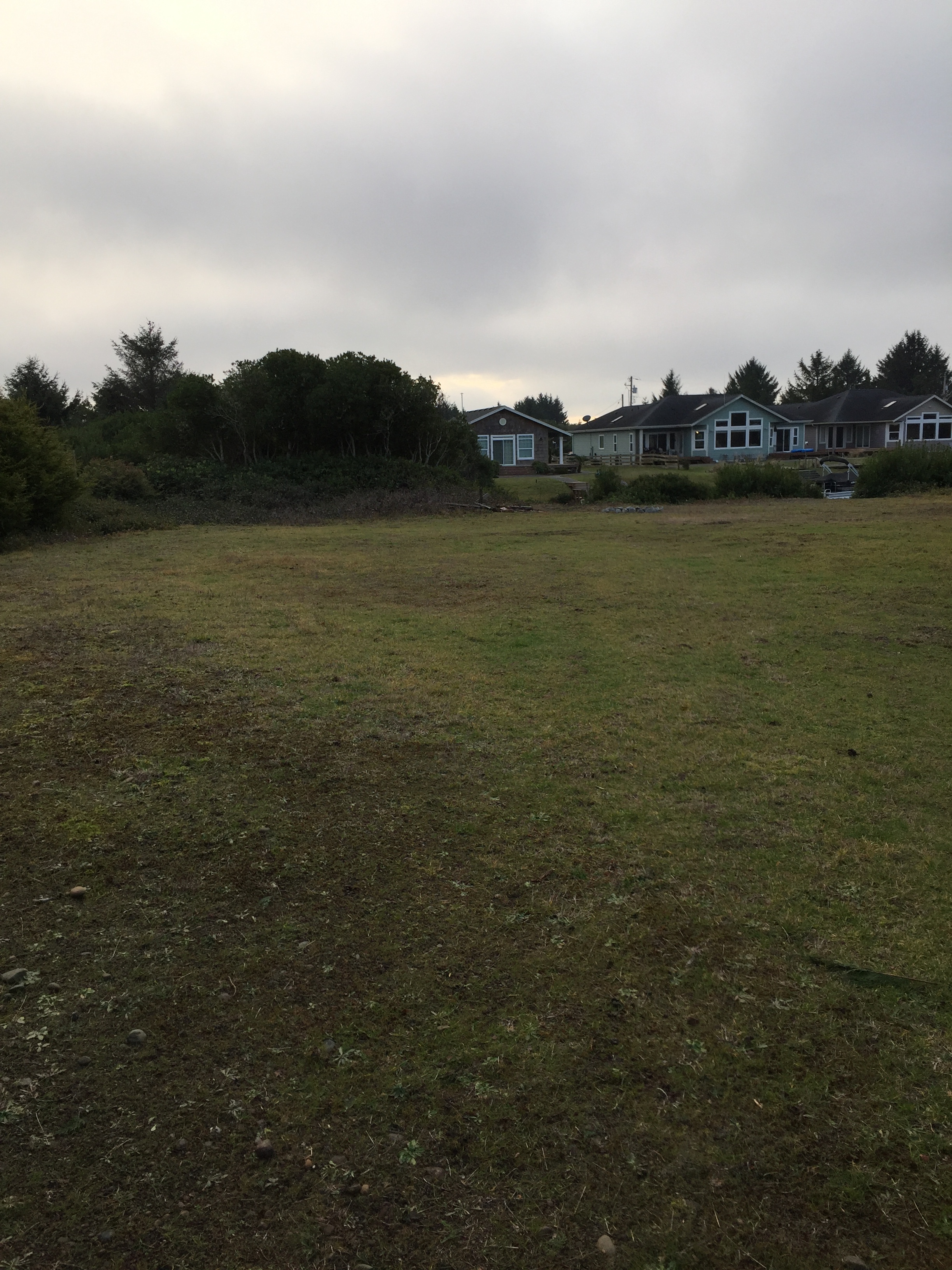 Property Photo: Selectively cleared canal lot. 345 Comet Ct  WA 98569 