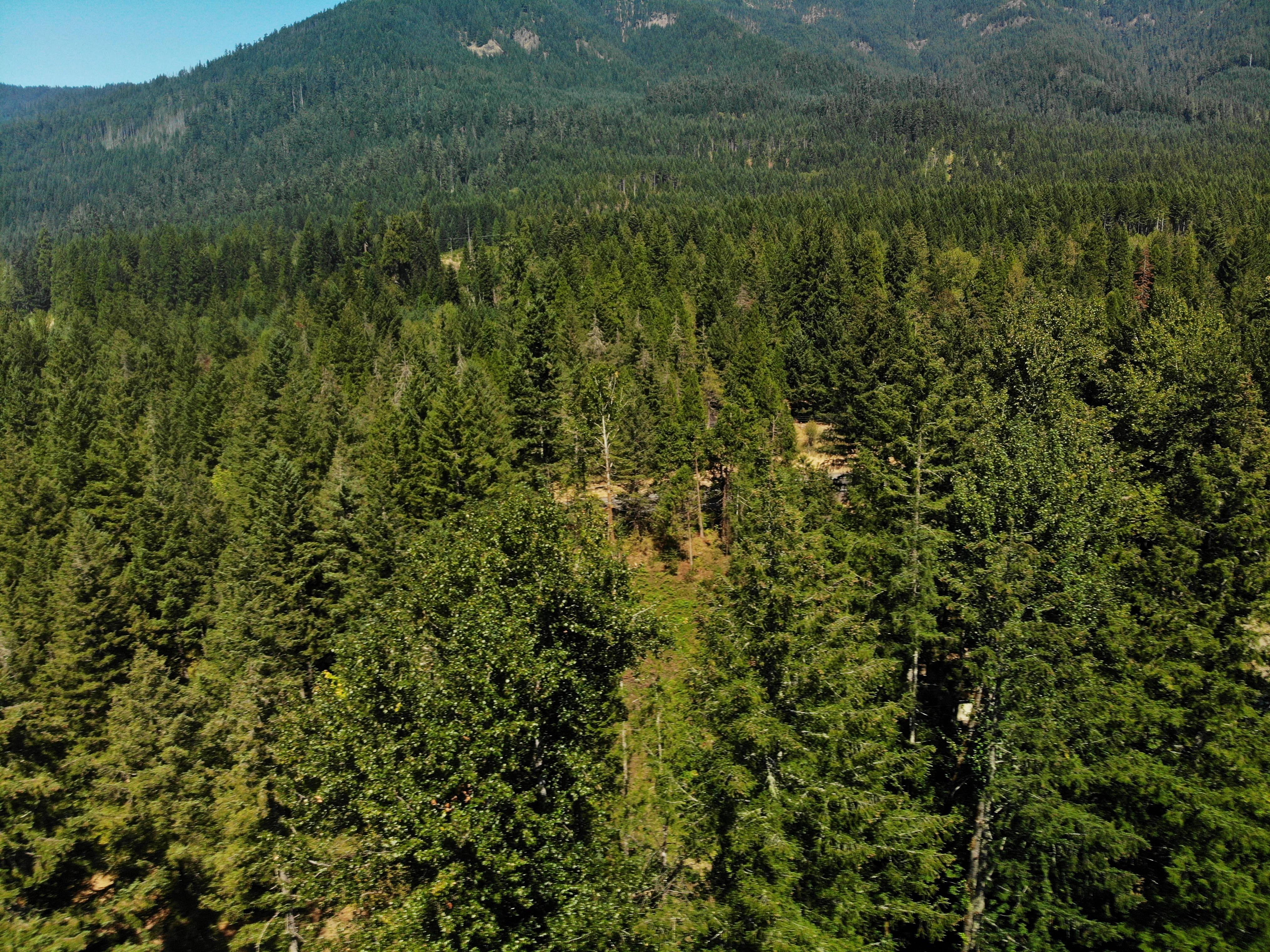 Property Photo:  McKenzie River Dr 800  OR 97413 