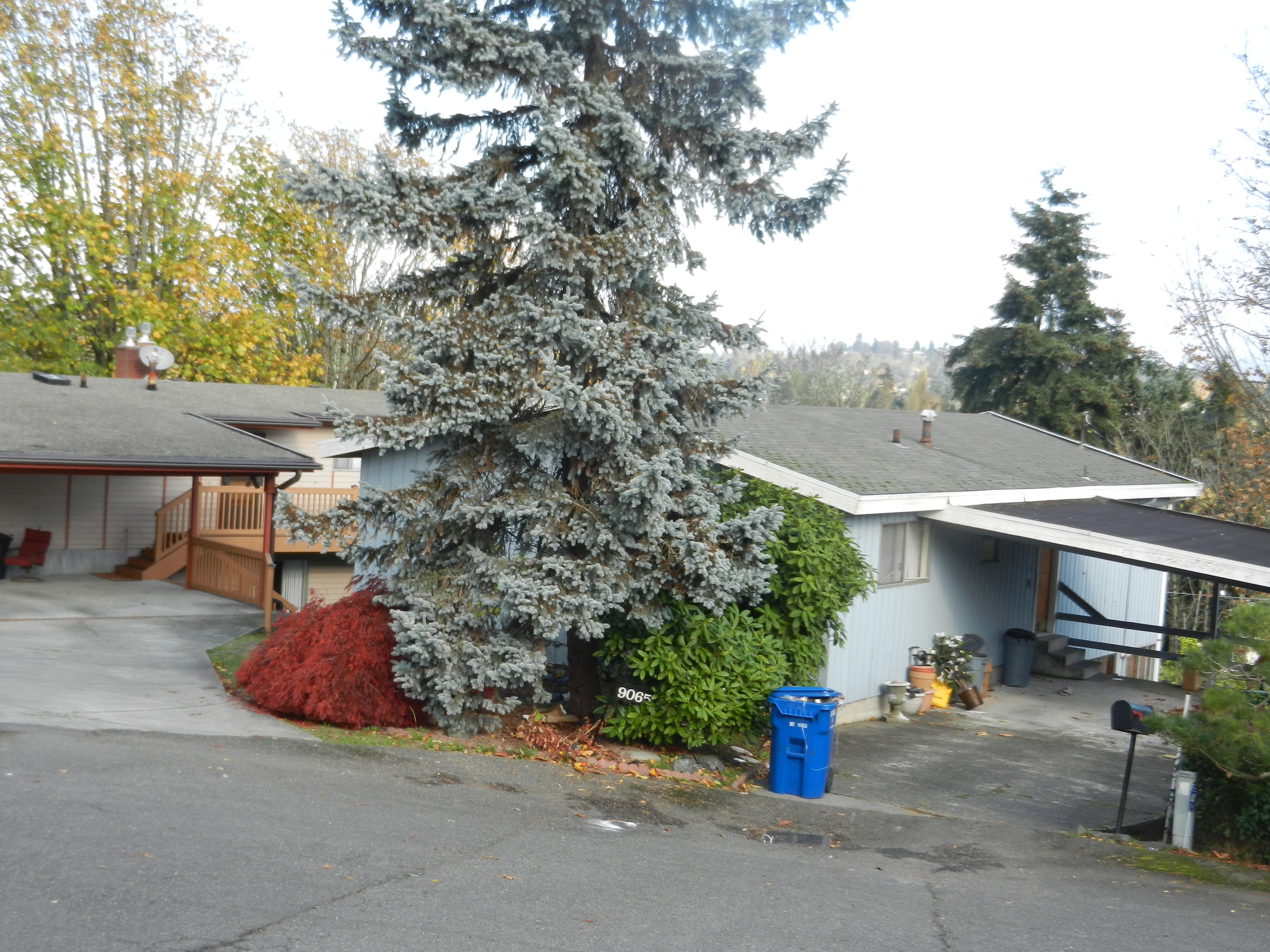 Property Photo:  9065 Renton Ave S  WA 98118 