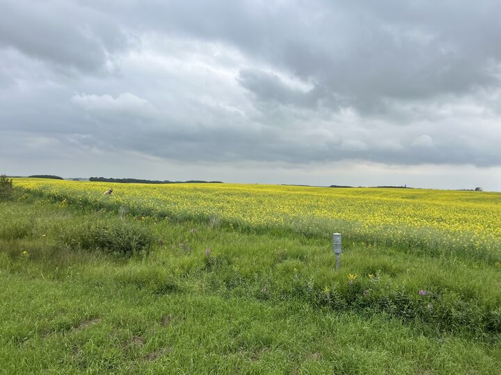 Photo de la propriété:  NE 10-15-17  MB R0J 1E0 