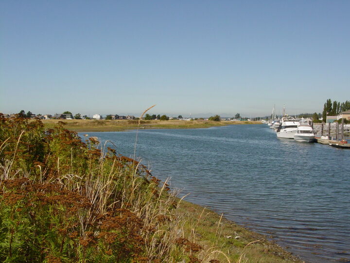 Property Photo: 4124 Patos Dr WA 98248