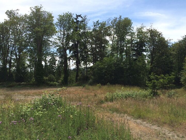 Property Photo: Southern cross 3952 Southern Cross Rd NE  WA 98110 